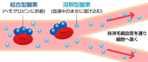 結合型酸素と溶解型酸素